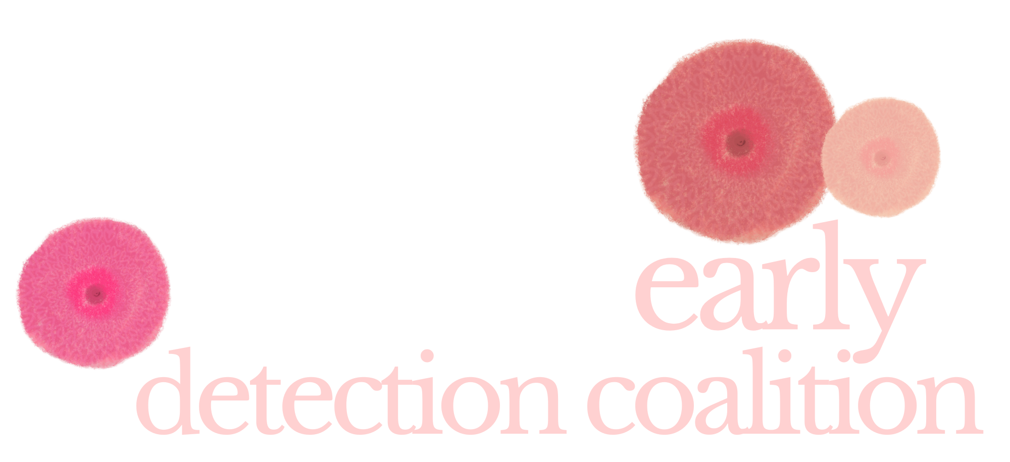 bcedc white logo