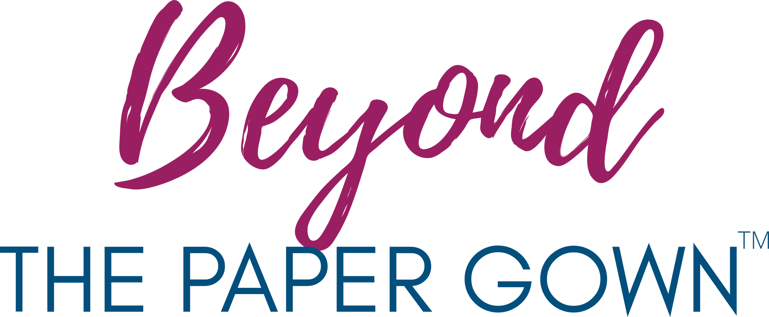 beyond-the-paper-gown